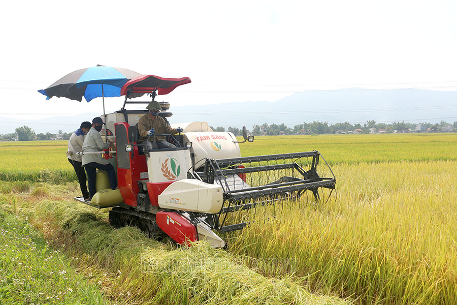 Điện Biên: Bảo đảm ATLĐ trong sản xuất nông nghiệp