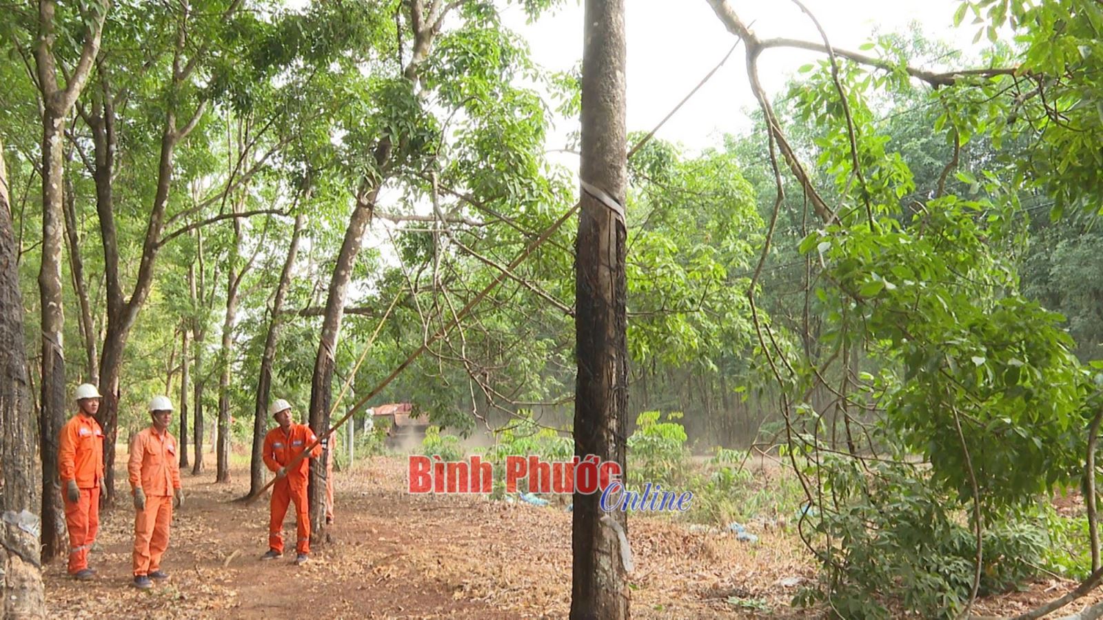 Bình Phước: Điện lực Bình Phước tạo môi trường làm việc an toàn cho NLĐ