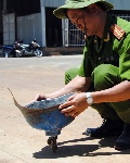no-binh-oxy-2-4522-1400488893.jpg