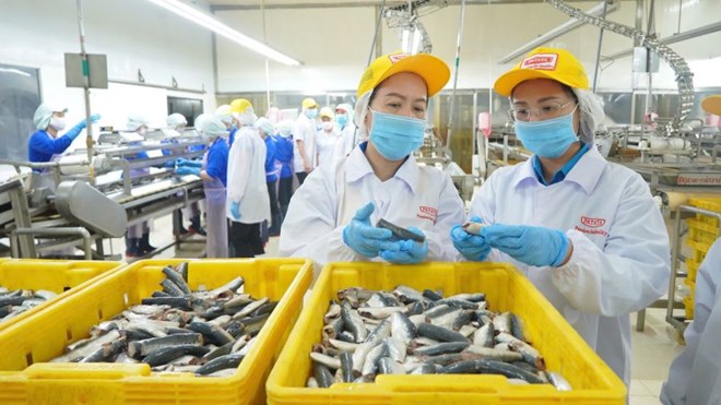Cần Thơ: Doanh nghiệp đầu tư mạnh cho ATVSLĐ