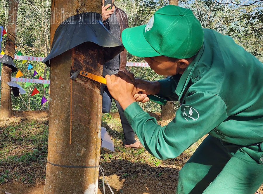 https://www.baodienbienphu.com.vn/Uploads/images/uthong85/2023/10/29/!!6_2.jpg